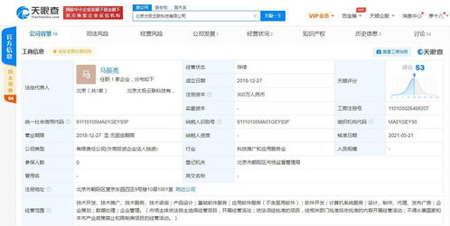 太极云联注册资本猛增500% 阿里巴巴全资布局基础软件服务新棋局